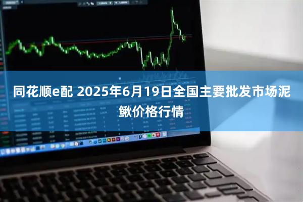 同花顺e配 2025年6月19日全国主要批发市场泥鳅价格行情