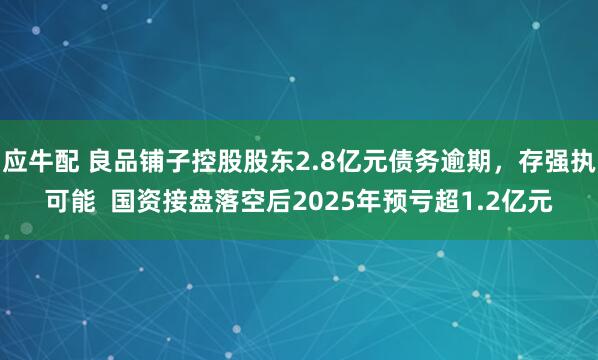 应牛配 良品铺子控股股东2.8亿元债务逾期，存强执可能  国资接盘落空后2025年预亏超1.2亿元
