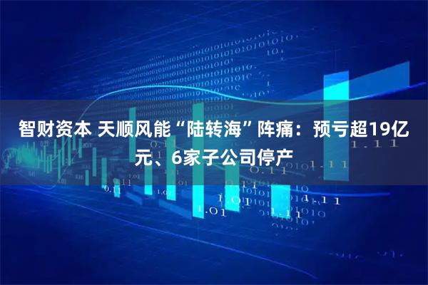 智财资本 天顺风能“陆转海”阵痛：预亏超19亿元、6家子公司停产